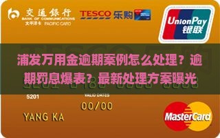 浦发万用金逾期案例怎么处理