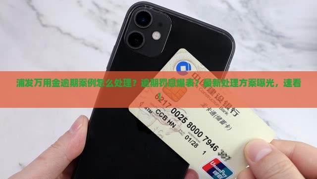 浦发万用金逾期案例怎么处理