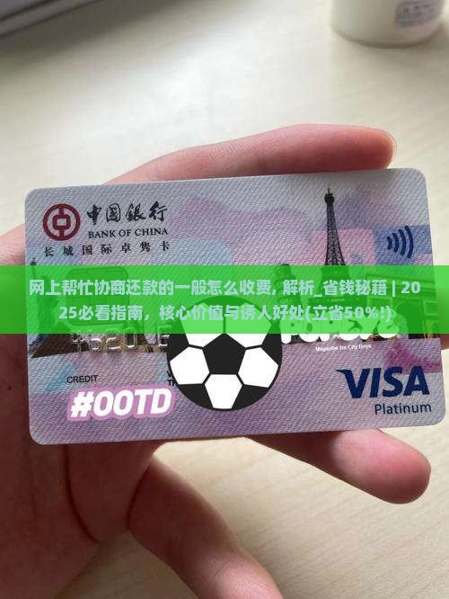 网上帮忙协商还款的一般怎么收费
