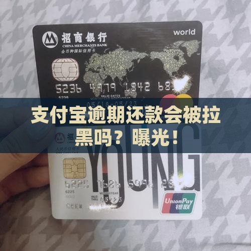 支付宝逾期还款会被拉黑吗