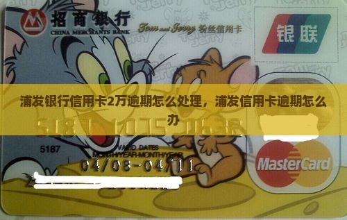 浦发银行信用卡2万逾期怎么办