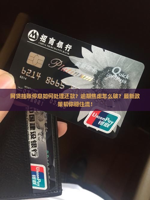 网贷挂账停息如何处理还款