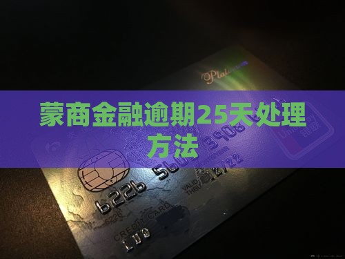 蒙商金融逾期25天处理方法