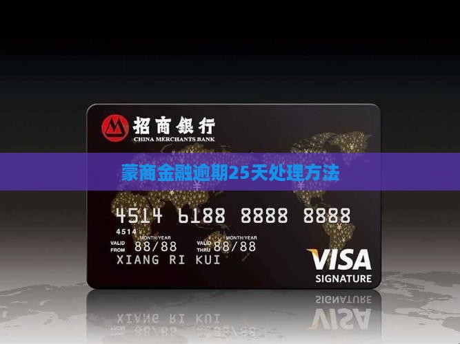 蒙商金融逾期25天处理方法