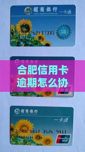 合肥信用卡逾期怎么协商分期还款行吗
