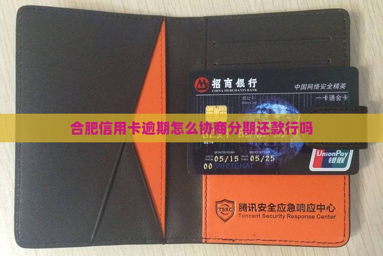 合肥信用卡逾期怎么协商分期还款行吗