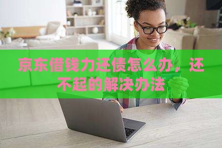 京东借钱力还债怎么办，还不起的解决办法