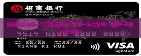 榕树贷款逾期一个月能起诉吗？逾期一年会怎样？逾期一天影响征信吗？
