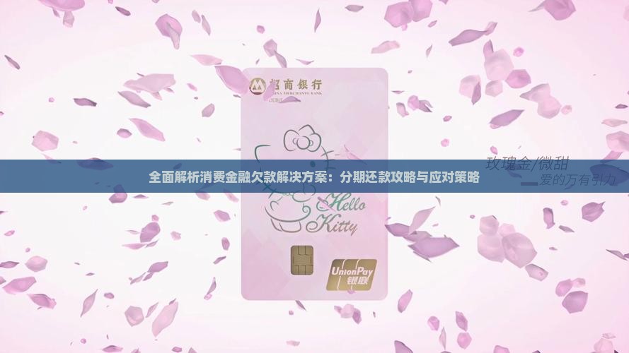 全面解析消费金融欠款解决方案：分期还款攻略与应对策略