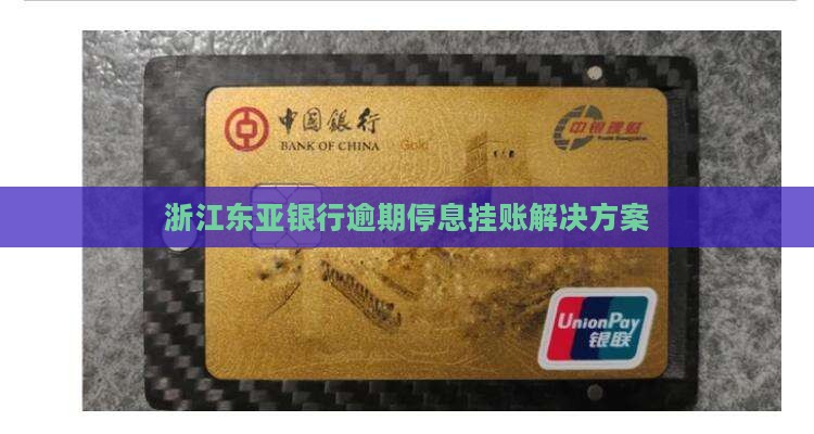浙江东亚银行逾期停息挂账解决方案