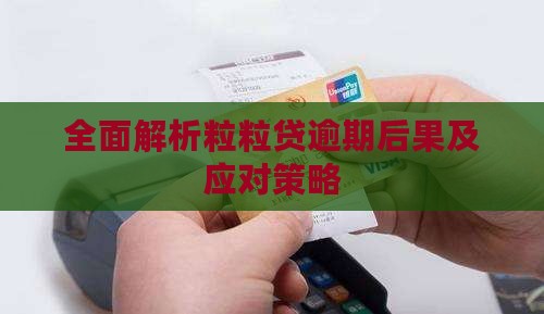 全面解析粒粒贷逾期后果及应对策略