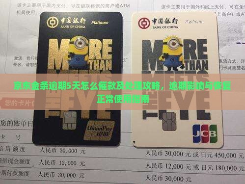 京东金条逾期5天怎么催款及处理攻略，逾期影响与恢复正常使用指南