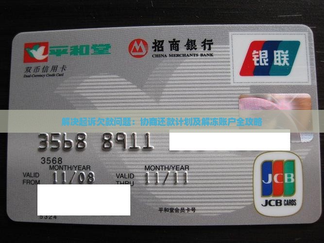 解决起诉欠款问题：协商还款计划及解冻账户全攻略