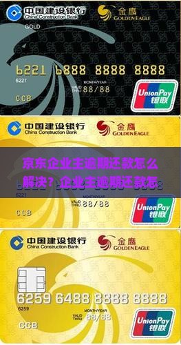 京东企业主逾期还款怎么解决？企业主逾期还款怎么办指南