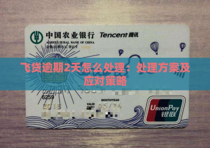 飞贷逾期2天怎么处理：处理方案及应对策略