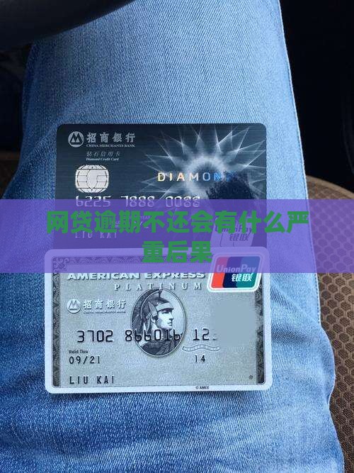 网贷逾期不还会有什么严重后果
