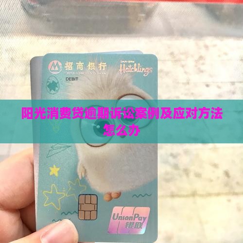 阳光消费贷逾期诉讼案例及应对方法怎么办
