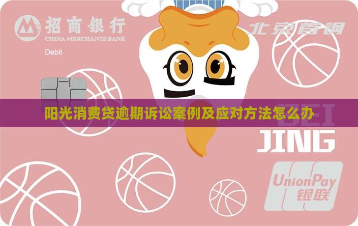 阳光消费贷逾期诉讼案例及应对方法怎么办