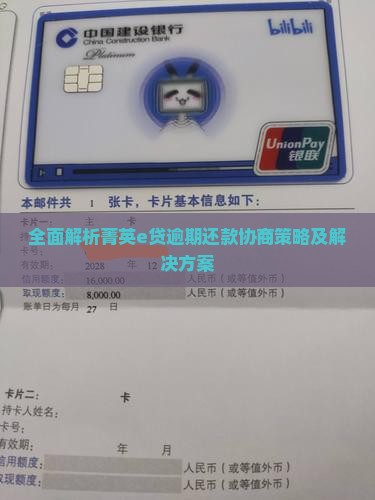 全面解析菁英e贷逾期还款协商策略及解决方案