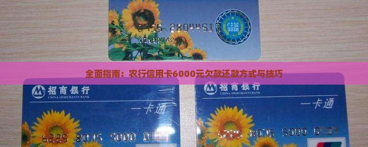 全面指南：农行信用卡6000元欠款还款方式与技巧