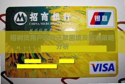 榕树贷用户逾期还款困境及解决策略分析