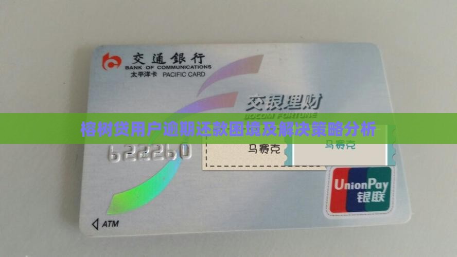 榕树贷用户逾期还款困境及解决策略分析