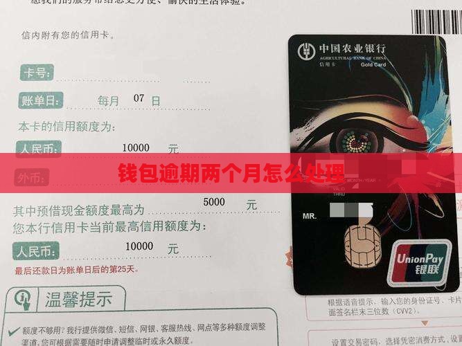 钱包逾期两个月怎么处理