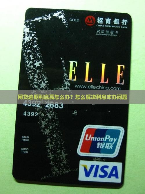 网贷逾期利息高怎么办？怎么解决利息咋办问题