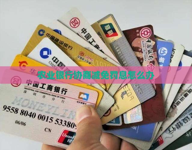 农业银行协商减免罚息怎么办