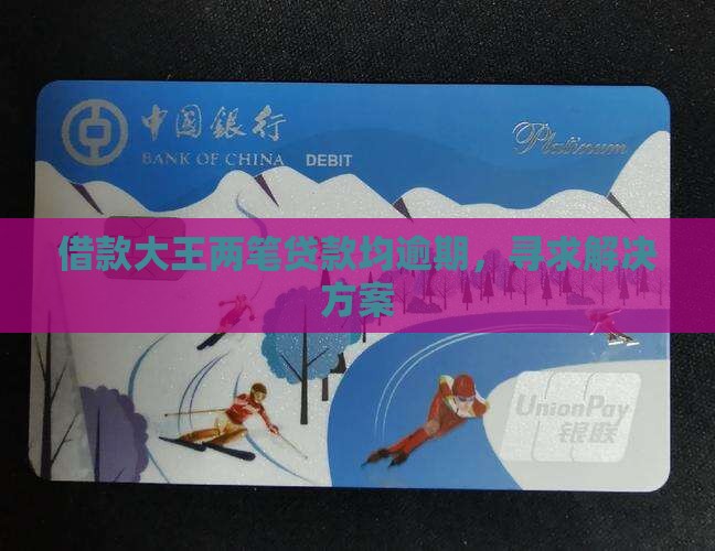借款大王两笔贷款均逾期，寻求解决方案