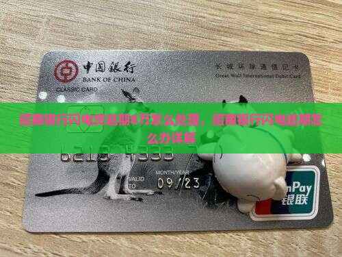 招商银行闪电贷逾期8万怎么处理，招商银行闪电逾期怎么办详解