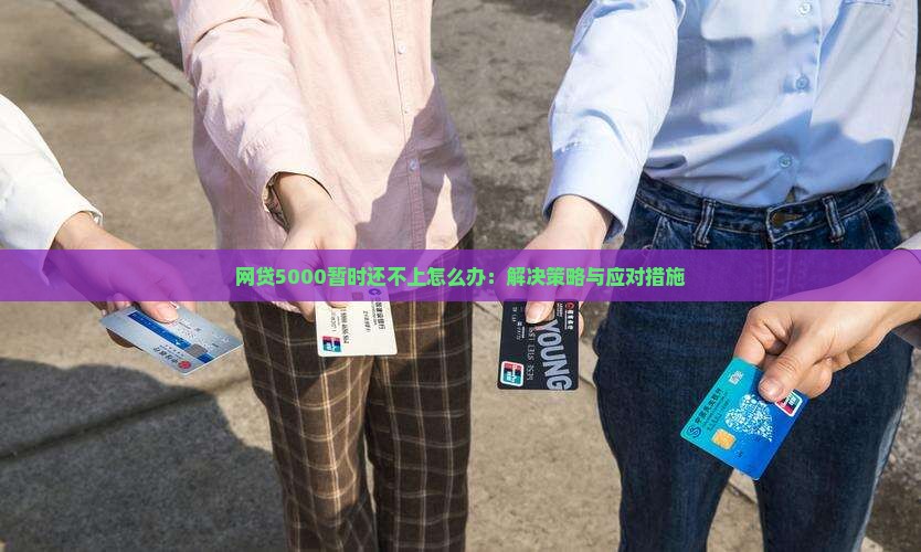 网贷5000暂时还不上怎么办：解决策略与应对措施