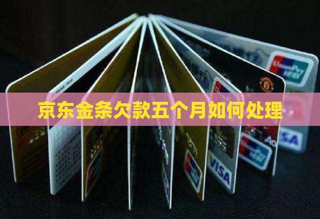 京东金条欠款五个月如何处理