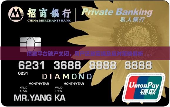 借款平台破产关闭，用户还款困境及应对策略解析
