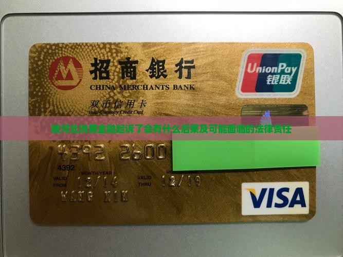 被河北消费金融起诉了会有什么后果及可能面临的法律责任