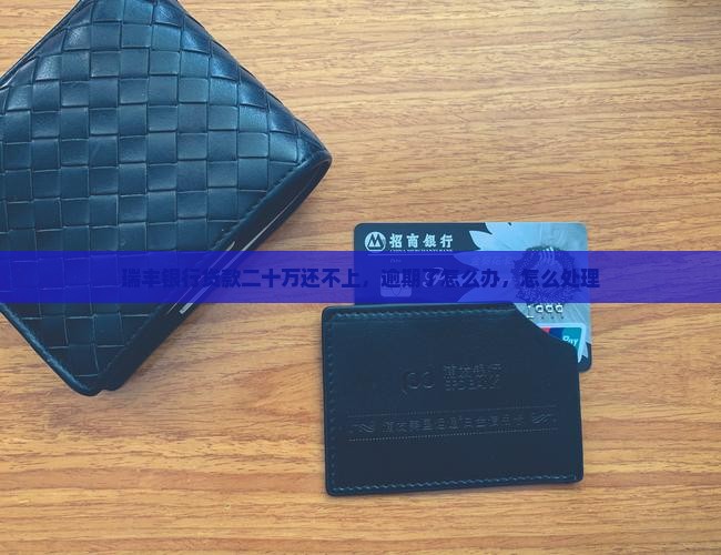 瑞丰银行贷款二十万还不上，逾期了怎么办，怎么处理