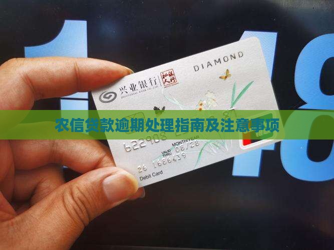 农信贷款逾期处理指南及注意事项