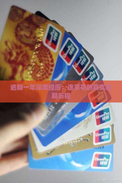 逾期一年深度经历：逸享花的真实逾期历程