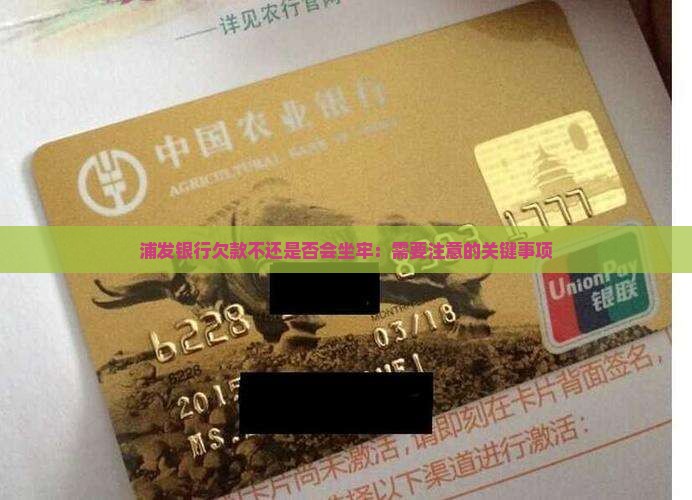 浦发银行欠款不还是否会坐牢：需要注意的关键事项