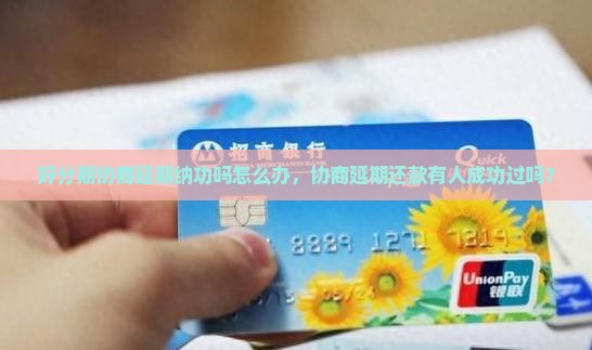 好分期协商延期纳功吗怎么办，协商延期还款有人成功过吗？