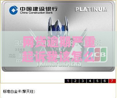 网贷逾期严重起诉我该怎么处理