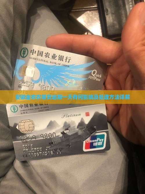 安徽金农农易贷逾期一天有何影响及处理方法详解