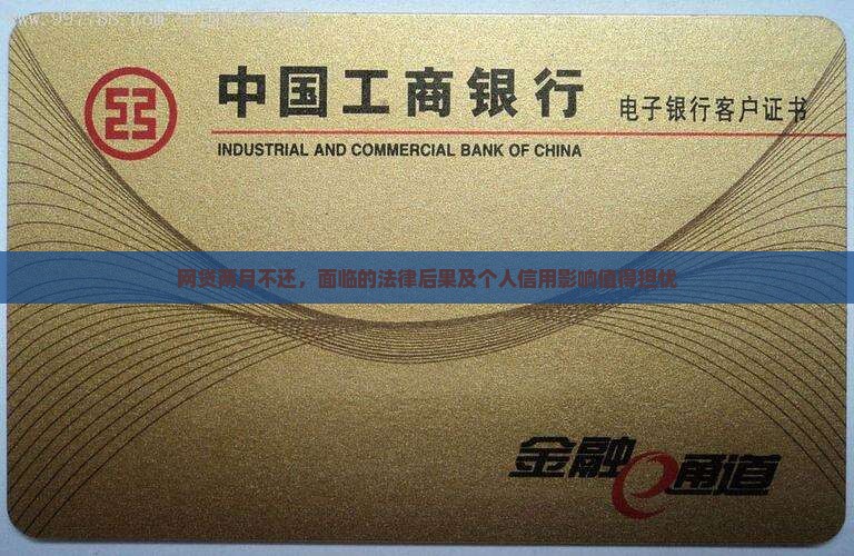 网贷两月不还，面临的法律后果及个人信用影响值得担忧