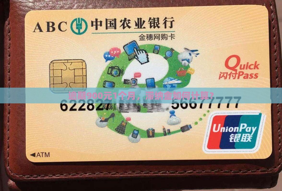 逾期900元1个月，滞纳金如何计算？