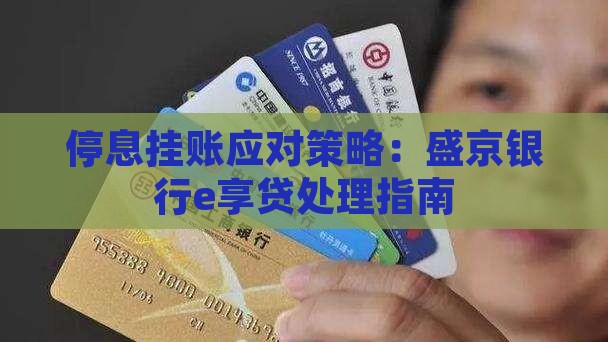 停息挂账应对策略：盛京银行e享贷处理指南