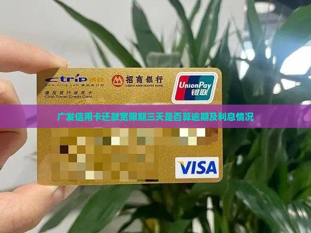广发信用卡还款宽限期三天是否算逾期及利息情况