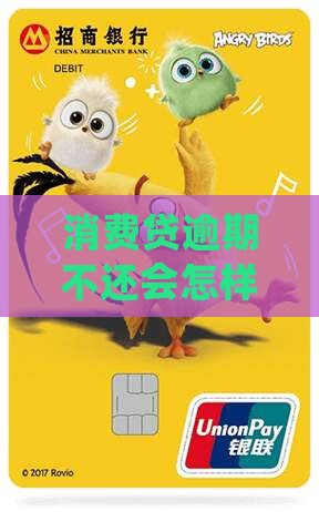 消费贷逾期不还会怎样处理呢