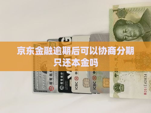 京东金融逾期后可以协商分期只还本金吗