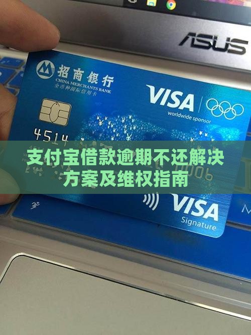 支付宝借款逾期不还解决方案及维权指南