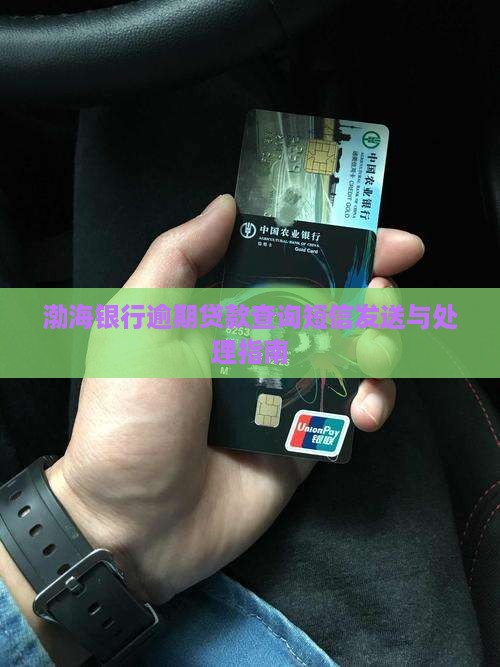 渤海银行逾期贷款查询短信发送与处理指南